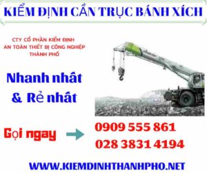 Hình ảnh kiểm định cần trục bánh xích