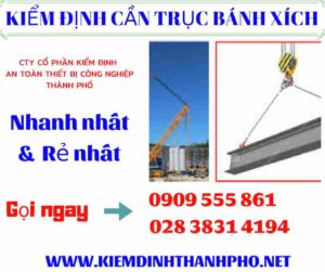 Hình ảnh kiểm định cần trục bánh xích