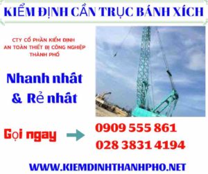 Hình ảnh kiểm định cần trục bánh xích