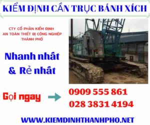 Hình ảnh kiểm định cần trục bánh xích