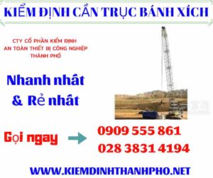 Hình ảnh kiểm định cần trục bánh xích