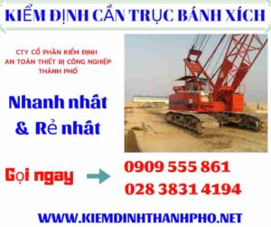 Hình ảnh kiểm định cần trục bánh xích