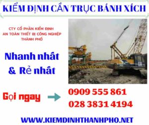 Hình ảnh kiểm định cần trục bánh xích