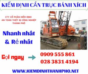 Hình ảnh kiểm định cần trục bánh xích