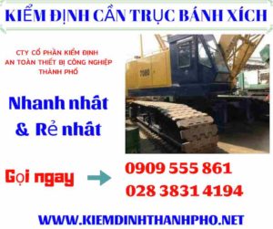 Hình ảnh kiểm định cần trục bánh xích