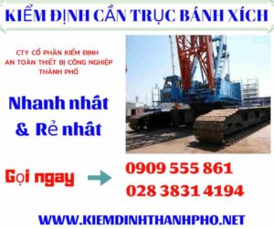 Hình ảnh kiểm định cần trục bánh xích