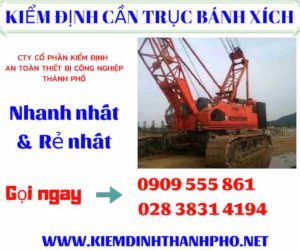 Hình ảnh kiểm định cần trục bánh xích