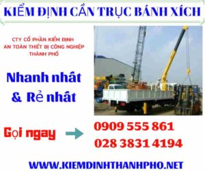 Hình ảnh kiểm định cần trục bánh xích