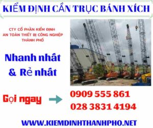 Hình ảnh kiểm định cần trục bánh xích