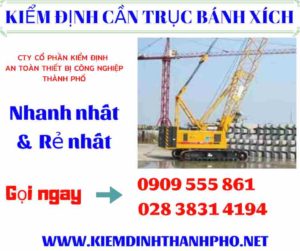 Hình ảnh kiểm định cần trục bánh xích