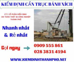 Hình ảnh kiểm định cần trục bánh xích