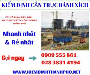 Hình ảnh kiểm định cần trục bánh xích