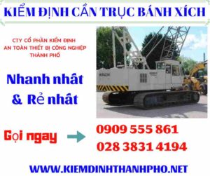 Hình ảnh kiểm định cần trục bánh xích