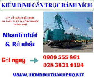 Hình ảnh kiểm định cần trục bánh xích