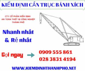 Hình ảnh kiểm định cần trục bánh xích