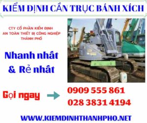 Hình ảnh kiểm định cần trục bánh xích