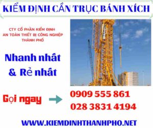 Hình ảnh kiểm định cần trục bánh xích