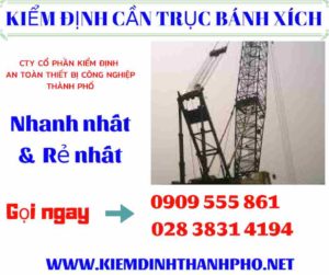 Hình ảnh kiểm định cần trục bánh xích