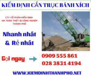 Hình ảnh kiểm định cần trục bánh xích