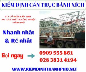 Hình ảnh kiểm định cần trục bánh xích