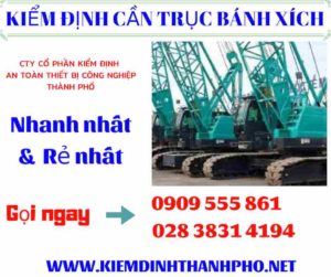 Hình ảnh kiểm định cần trục bánh xích