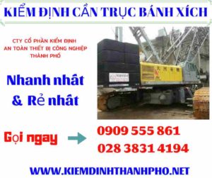 Hình ảnh kiểm định cần trục bánh xích