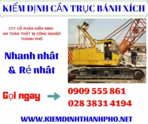 Hình ảnh kiểm định cần trục bánh xích