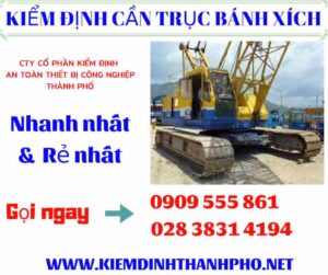 Hình ảnh kiểm định cần trục bánh xích