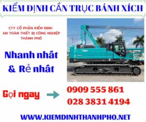 Hình ảnh kiểm định cần trục bánh xích