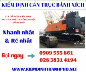 Hình ảnh kiểm định cần trục bánh xích