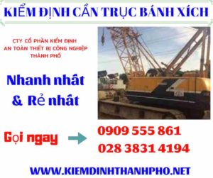 Hình ảnh kiểm định cần trục bánh xích