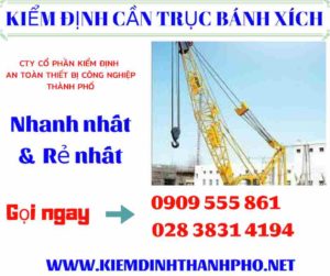 Hình ảnh kiểm định cần trục bánh xích