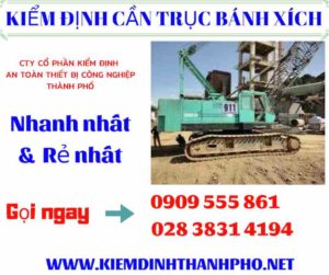 Hình ảnh kiểm định cần trục bánh xích