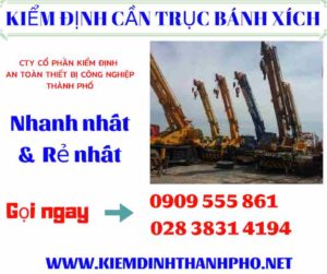 Hình ảnh kiểm định cần trục bánh xích