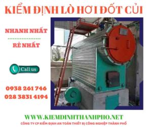 Hình ảnh kiểm định lò hơi đốt củi