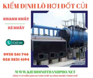 Hình ảnh kiểm định lò hơi đốt củi