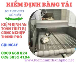 Hình ảnh kiểm định băng tải