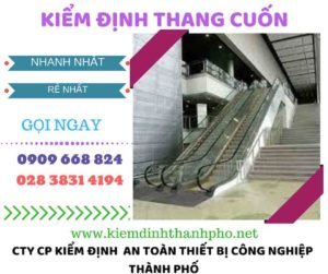 hình ảnh kiểm định thang cuốn