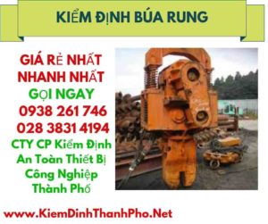 HÌNH ẢNH KIỂM ĐỊNH BÚA RUNG