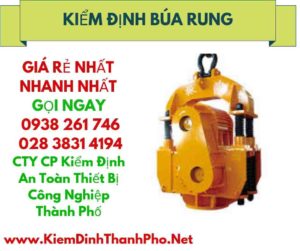 HÌNH ẢNH KIỂM ĐỊNH BÚA RUNG