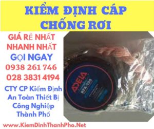 Hình ảnh kiểm định cáp chống rơi