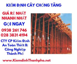 hình ảnh kiểm định cây chống tăng