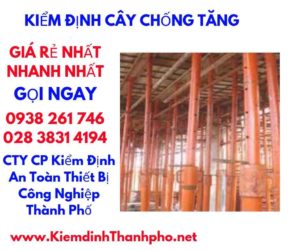 hình ảnh kiểm định cây chống tăng