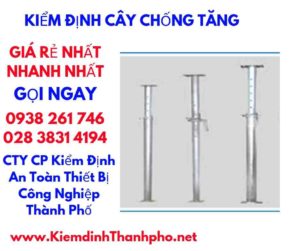 hình ảnh kiểm định cây chống tăng