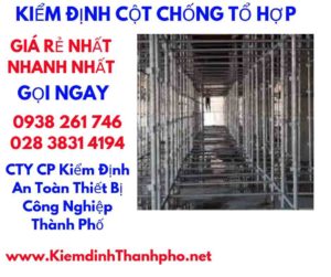  KIỂM ĐỊNH CỘT CHỐNG TỔ HỢP